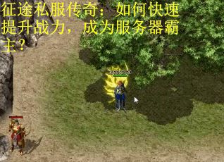 征途私服传奇：如何快速提升战力，成为服务器霸主？