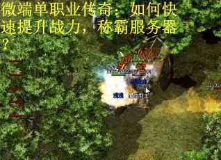 微端单职业传奇:如何快速提升战力,称霸服务器? 微端单职业传奇:如何快速提升战力,称霸服务器?