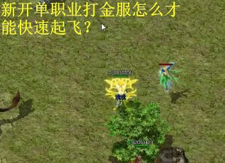 新开单职业打金服怎么才能快速起飞？