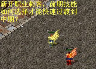 新开职业刺客，前期技能如何选择才能快速过渡到中期？