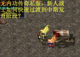 无内功传奇私服:新人战士如何快速过渡到中期发育阶段? 无内功传奇私服:新人战士如何快速过渡到中期发育阶段?