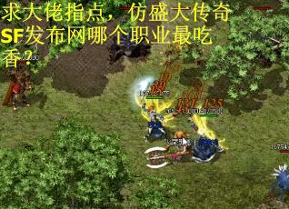 求大佬指点,仿盛大传奇SF发布网哪个职业最吃香? 求大佬指点,仿盛大传奇SF发布网哪个职业最吃香?