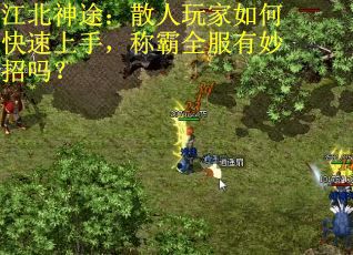 江北神途:散人玩家如何快速上手,称霸全服有妙招吗? 江北神途:散人玩家如何快速上手,称霸全服有妙招吗?