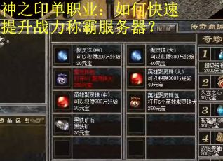 神之印单职业：如何快速提升战力称霸服务器？