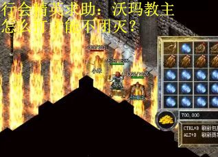 行会精英求助:沃玛教主怎么打才能不团灭? 行会精英求助:沃玛教主怎么打才能不团灭?