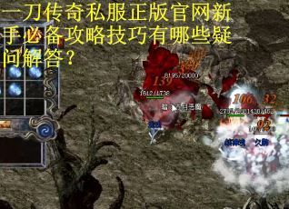 一刀传奇私服正版官网新手必备攻略技巧有哪些疑问解答？