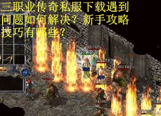 三职业传奇私服下载遇到问题如何解决？新手攻略技巧有哪些？