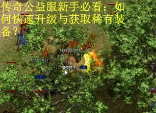 传奇公益服新手必看:如何快速升级与获取稀有装备? 传奇公益服新手必看:如何快速升级与获取稀有装备?