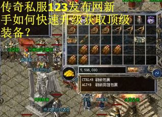 传奇私服123发布网新手如何快速升级获取顶级装备？